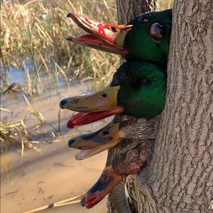 Meet your Posher, Austin